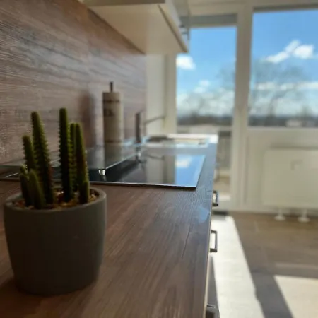 Spa-apartment Mit Sauna In Ulm-boefingen * 울름