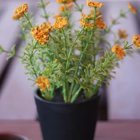 Spa-apartment Mit Sauna In Ulm-boefingen アパート ウルム