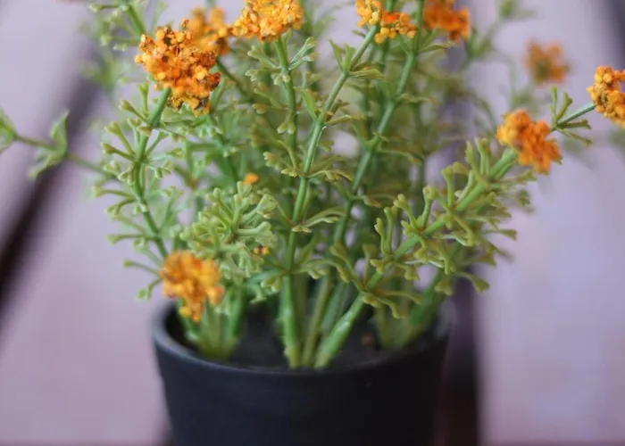 Spa-apartment Mit Sauna In Ulm-boefingen アパート ウルム